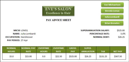 Microsoft Exce 2011 payroll and payslip